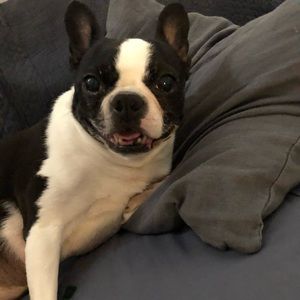 Meet your Posher, Rachel